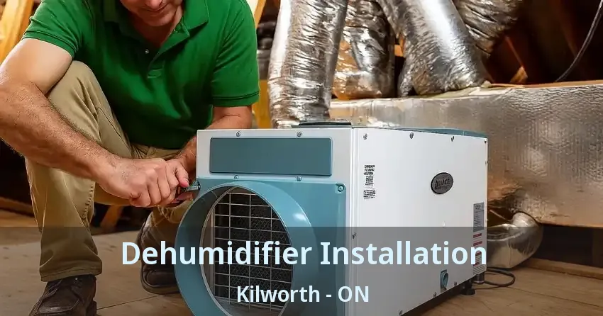 Dehumidifier Installation Kilworth - ON