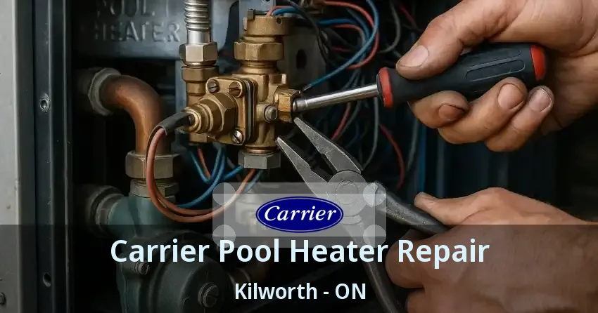 Carrier Pool Heater Repair Kilworth - ON